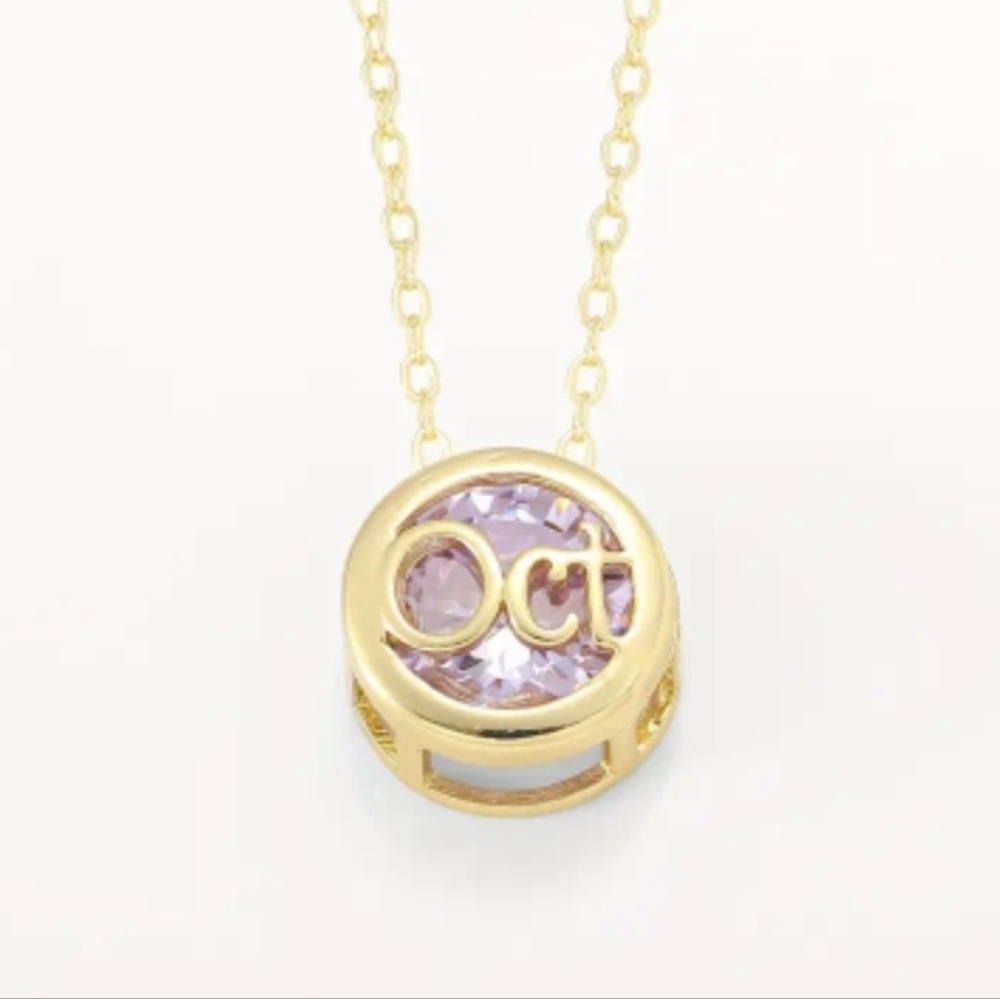 🎉🎉NEW🎉🎉 PRETTY!! Stainless Steel PINK OCTOBER CZ Charm Necklace